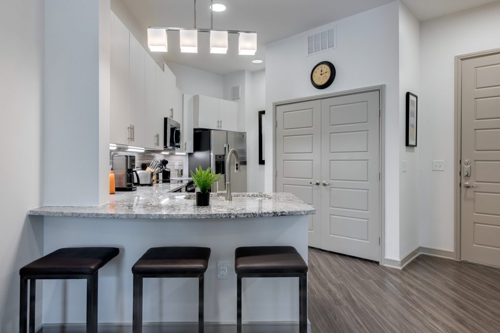 view of bar and kitchen with large pantry closet