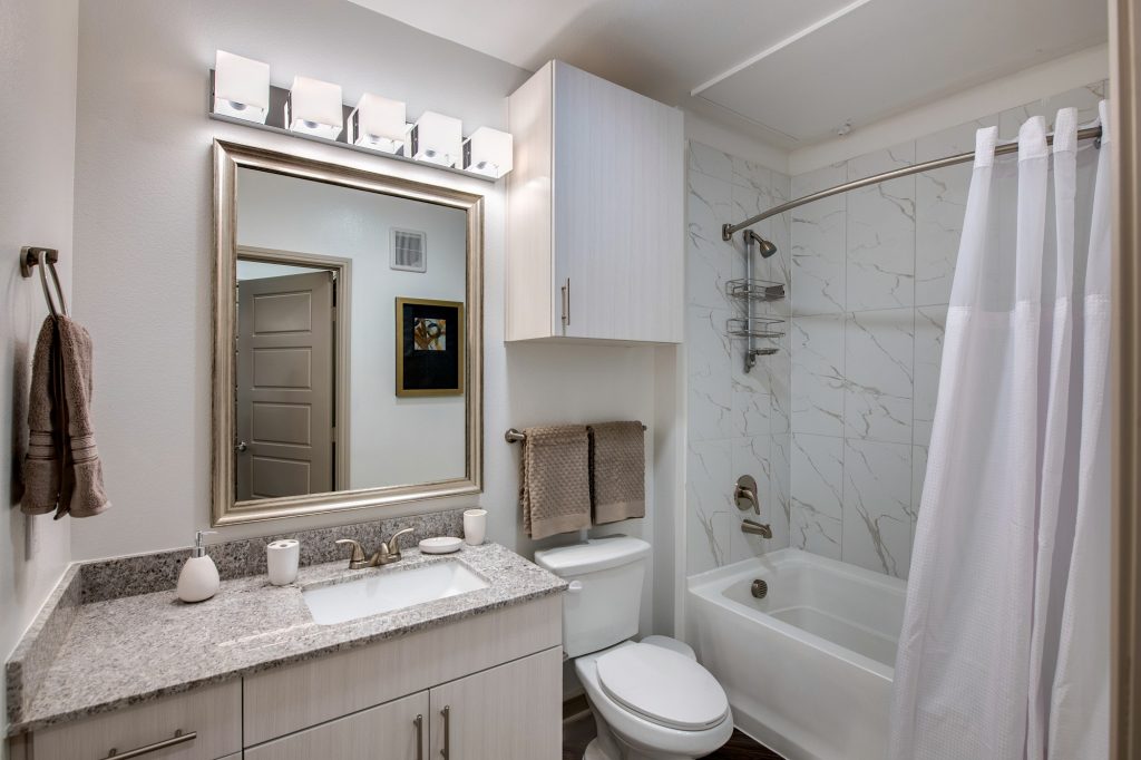 bathroom with granite countertops, single sink, toilet, and tub